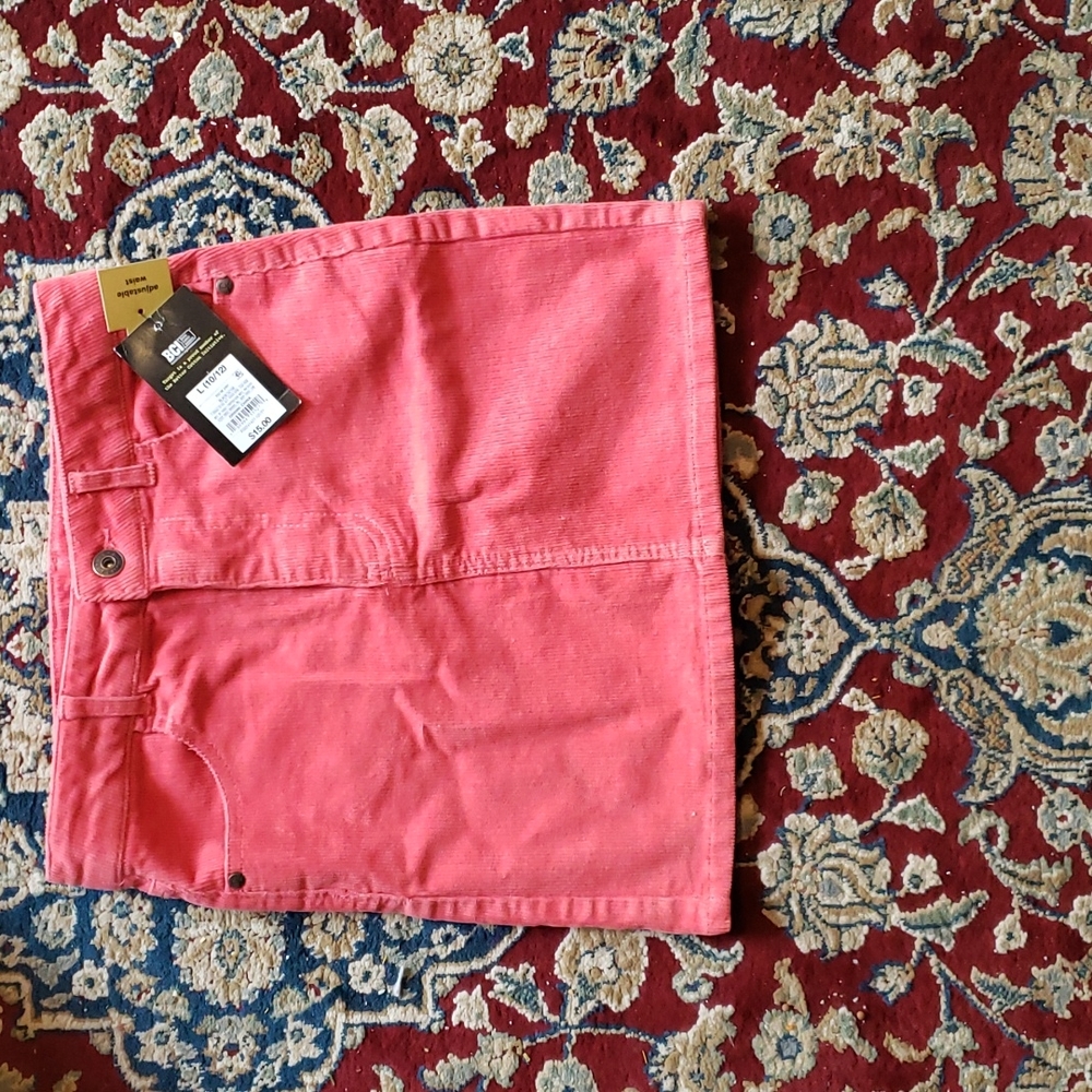 NWT Pink Skirt